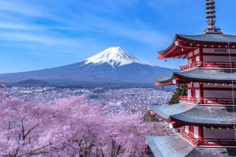 From Tokyo : Mount Fuji Private Tour With English Guide