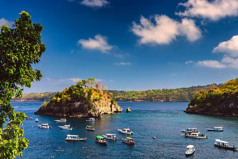 From Bali: Nusa Penida Day Trip with Fast Boat & Lunch