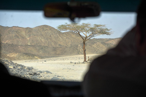 Hurghada: Quad Bike, Buggy, Jeep Safari, Przejażdżka na wielbłądzie i KolacjaQuad Bike, Buggy, Jeep Safari, Przejażdżka na wielbłądzie i kolacja