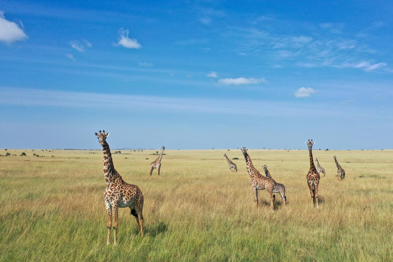3-Day Maasai Mara Safari