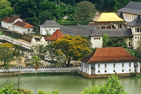 Kandy: Visita a la ciudad con todo incluido