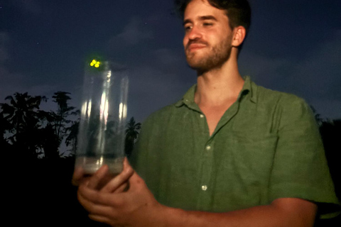 Ubud: Silver Making Class and Fireflies Evening Tour