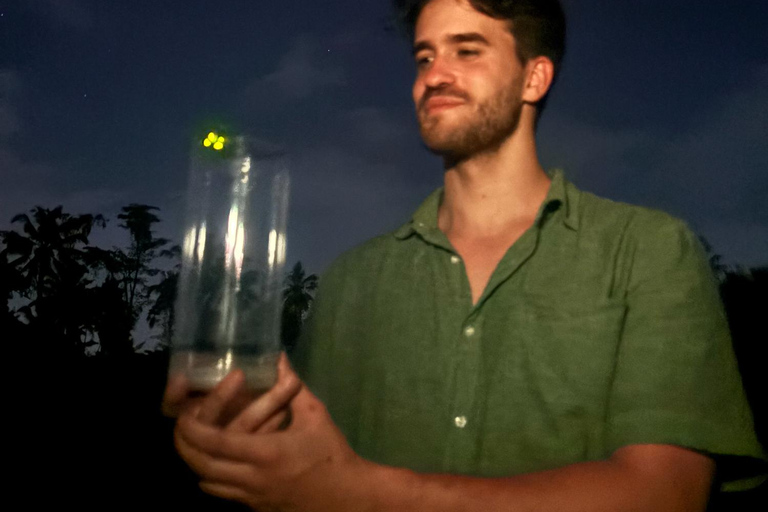 Ubud: Silver Making Class and Fireflies Evening Tour