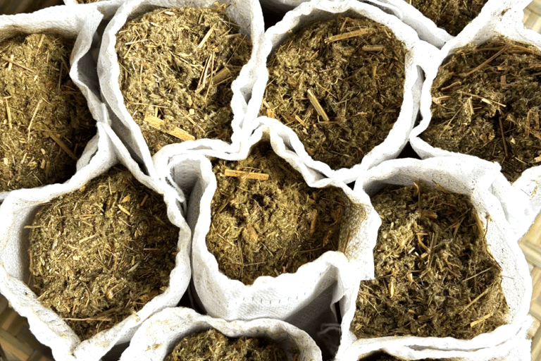 Guangzhou: Chinese Herbal DIY Experience in Yongqingfang