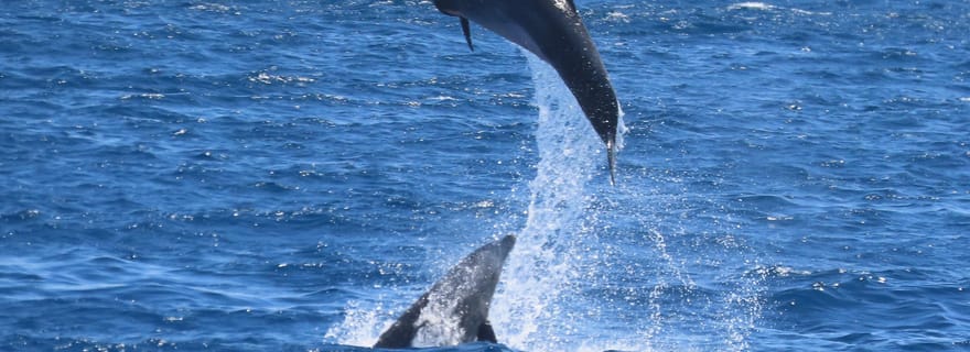 Kos : Croisière sur 3 îles avec déjeuner et transfert à l'hôtel