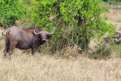 Mombasa/Diani: 2-Day Tsavo East Safari with Meals Private day tour to Tsavo East National Park - VAN