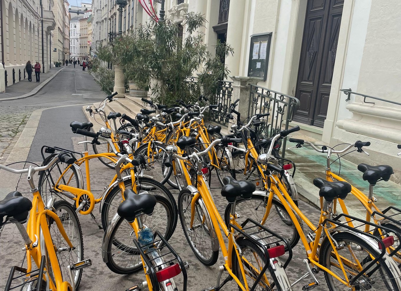 Wien: Byens højdepunkter guidet byrundvisning