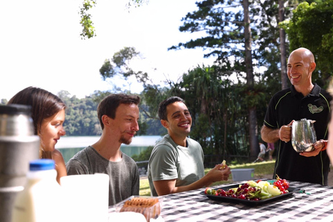 Desde Cairns Excursión de Ecoaventura y Natación en Atherton Tablelands