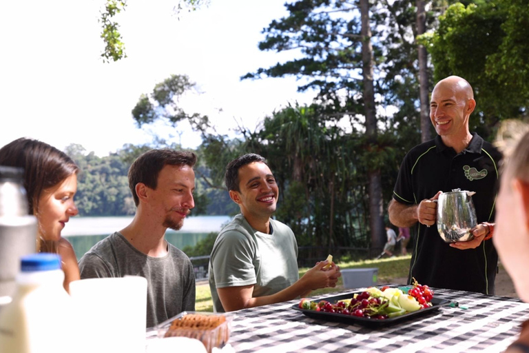 Från Cairns: Atherton Tablelands Eco-äventyr och simtur