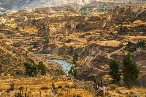 Viagem de 1 dia ao Colca Canyon + traslado para Puno com refeições