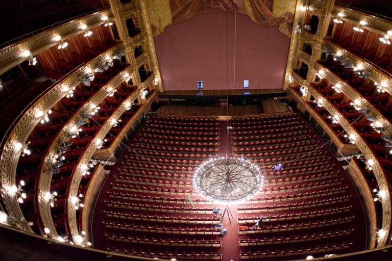 Buenos Aires: Teatro Colón Entry Ticket and Guided Tour Teatro Colón Ticket and Guided Tour in Portuguese
