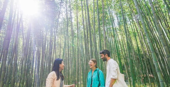 Kyoto Arashiyama Bamboo forest & Hidden Garden Walking Tour