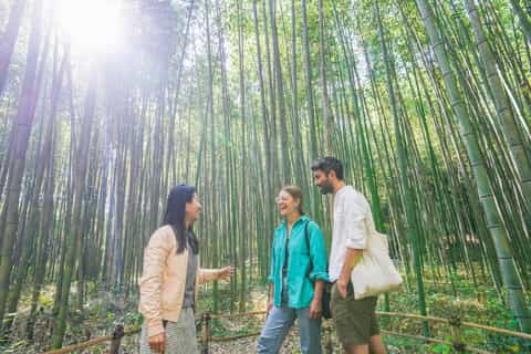 Die besten Sagano-Bambuswald-Herbst-Aktivitten 2026 - Kostenlose  Stornierung | GetYourGuide