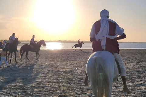 杰尔巴岛幻想曲：泻湖2小时传统马术表演