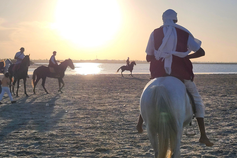 杰尔巴岛幻想曲：泻湖2小时传统马术表演