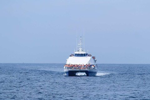 Mirissa: Excursión de avistamiento de ballenas desde Colombo o Negombo