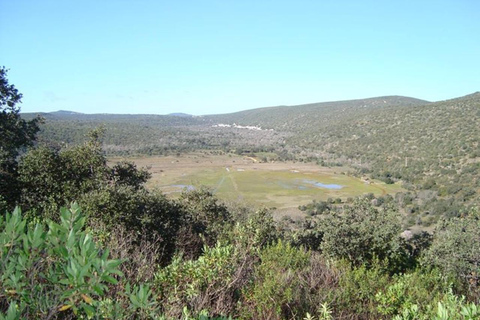 Jeep Safari &amp; rondvaart in Benagil