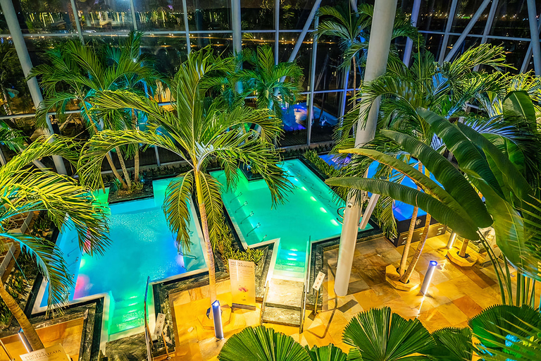 Therme:Spa Day at the biggest oasis of Relaxation《Bucharest》