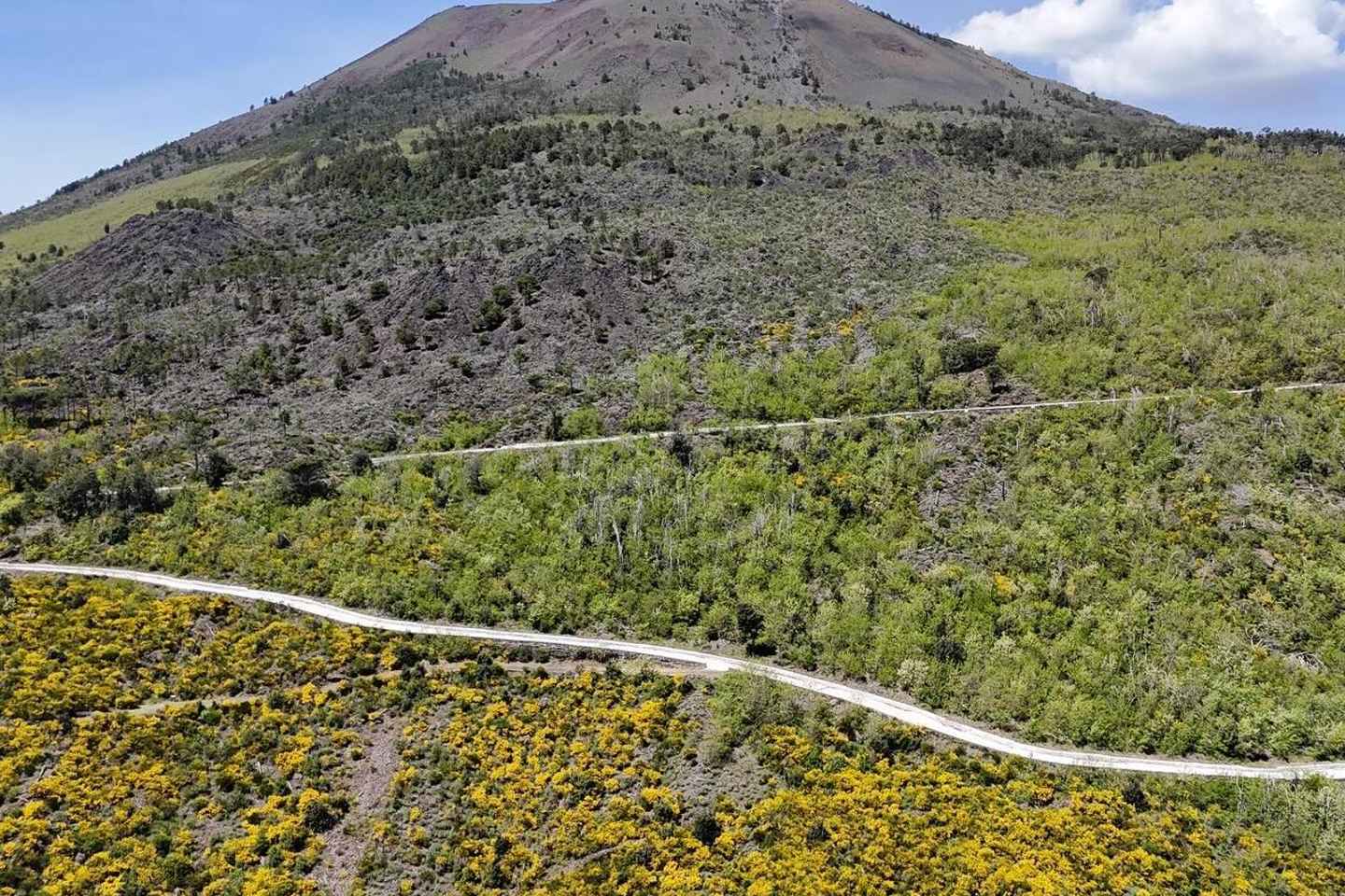 E-bike Vesuvio All Inclusive: Natura, Cratere e Vini DOC