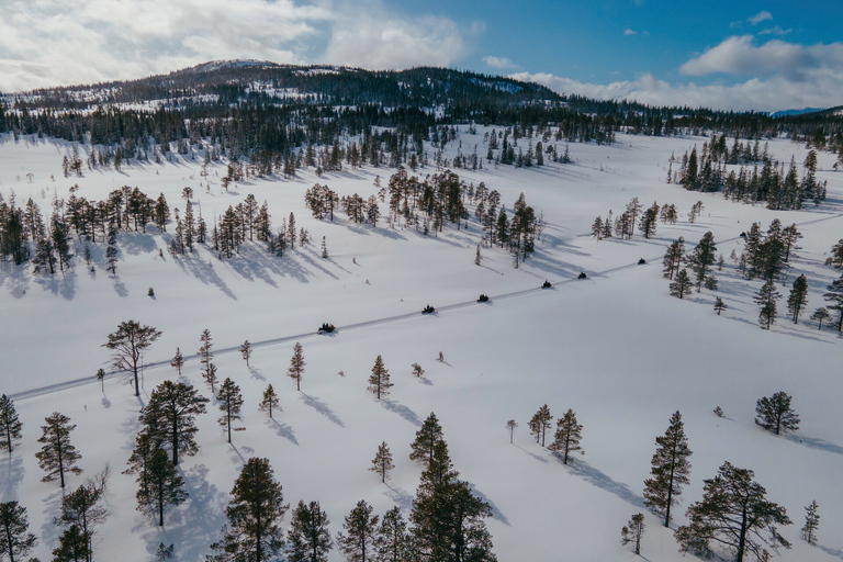 Snowmobile Safari in the mountains of Helgeland! Half-day Snowmobile Safari