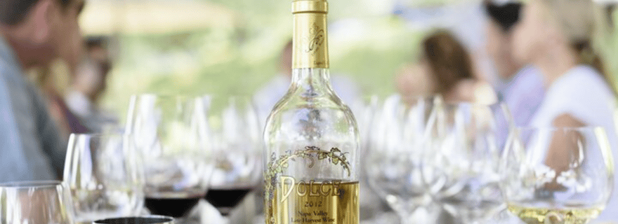 Au départ de San Jose : Visite en petit groupe des vignobles de la vallée de Napa et de Sonoma