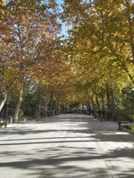 Privé -tournee in Ronda - Housity