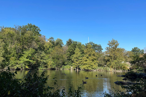 NYC Central Park Pedicab Tours Express Tour