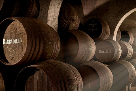 Cádiz: Bodegas Barbadillo Tour & Wine Tasting Cádiz: Bodegas Barbadillo Tour & Wine Tasting in Spanish