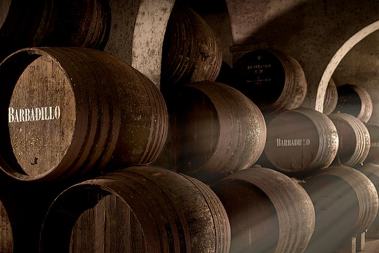 Cádiz: Bodegas Barbadillo Tour & Wine Tasting Cádiz: Bodegas Barbadillo Tour & Wine Tasting in Spanish