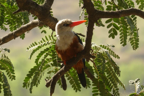 Karaklosté Cape Verde Karaklosté Cabo Verde