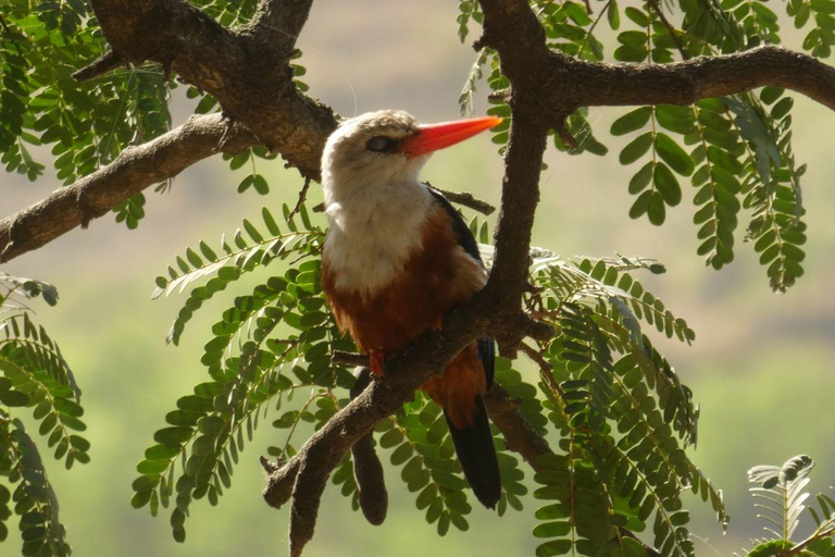 Karaklosté Cape Verde Karaklosté Cabo Verde