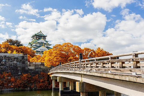 Osaka: Osaka Castle & Samurai History Walking Tour Small Group Tour with Entrance fee