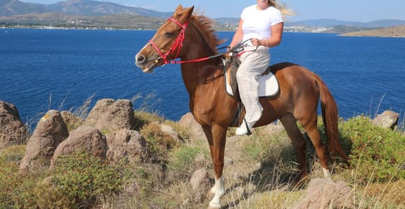 Bodrum: Horseback Riding Adventure with Hotel Pickup