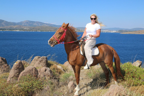 Bodrum: Horseback Riding Adventure with Hotel Pickup 2-Hour Forest & Beach Horse Riding with Transfers