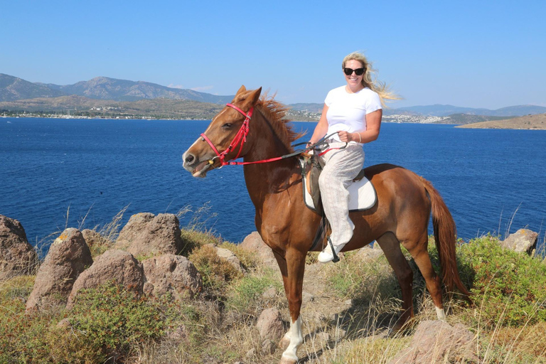 Bodrum: Horseback Riding Adventure with Hotel Pickup 2-Hour Forest & Beach Horse Riding with Transfers