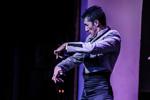 Flamenco Show at Tablao El Arenal Show and drink