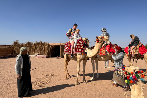 Hurghada: Camel Ride & horse ride and Off-Road Jeep Tour pickup from hotels inside hurghada