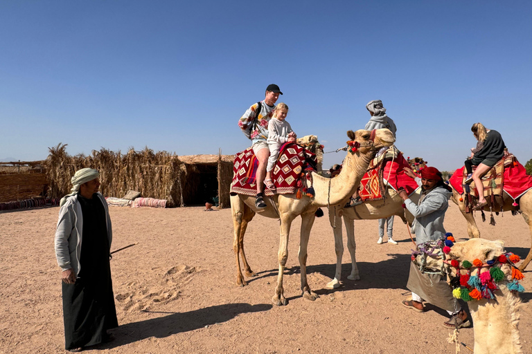 Hurghada: Camel Ride & horse ride and Off-Road Jeep Tour pickup from hotels inside hurghada