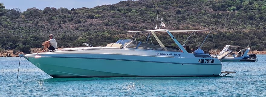 Apéritif au coucher du soleil avec les dauphins