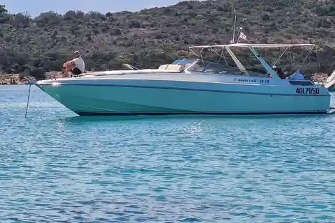 Exclusive motor boat dolphins watch