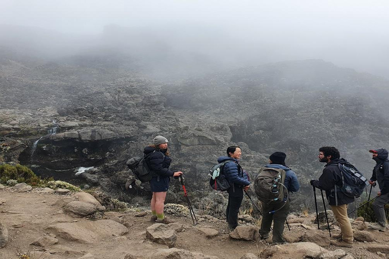 The best 8 days Rongai route Kilimanjaro Climbing