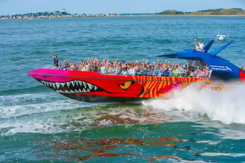 Boston: City Cruises Harbor Codzilla High Speed Thrill Boat