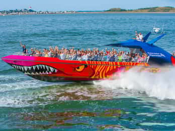 Boston: Crociere urbane Porto Codzilla Barca da brivido ad alta velocità