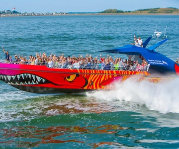 Boston: City Cruises Harbor Codzilla High Speed Thrill Boat
