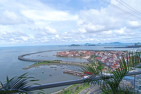 Pont d&#039;observation en verre Poin + VRTour + TRANSPORT SIGHTSEEING