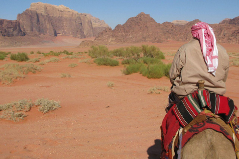 Von Doha aus: Führung durch den Norden Katars