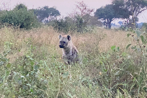 Nairobi: Quad Bike Wildlife Safari mit Transfers &amp; MahlzeitEinstündige Quad Bike Wildlife Safari mit Transfers &amp; Mahlzeit