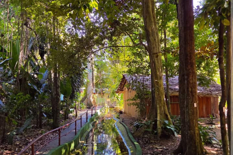Private Tour in Manaus: Science Forest and Amazonas Theater