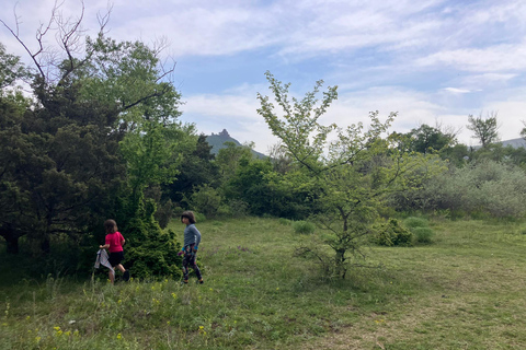 Från Tbilisi: Rundvandring i Mtskheta längs floden Aragvi