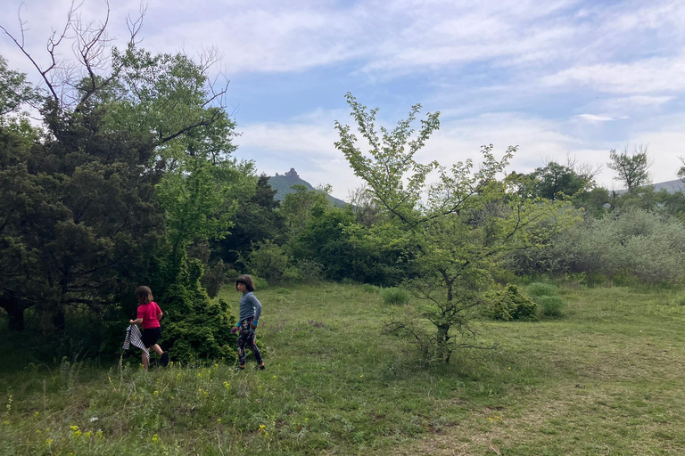 Från Tbilisi: Rundvandring i Mtskheta längs floden Aragvi